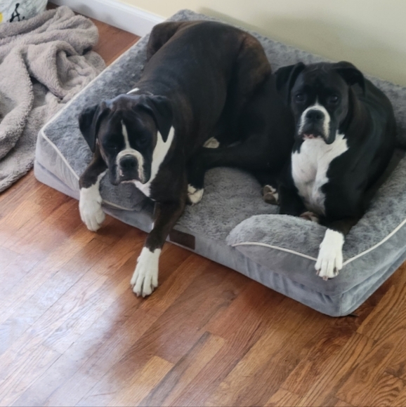 Meet your Posher, Maria - Picture 1 of 1